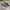VANS Casual Sneakers Pria brown photo 1