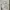 G277 - Celana Panjang Kargo High Waist Tapered Army Bershka photo 4