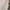 ZARA Luxury Casual Prom dress Wanita white photo 5