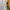ZARA Luxury Casual Prom dress Wanita white photo 1