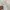 ZARA Luxury Casual Prom dress Wanita white photo 3