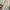 ZARA Luxury Casual Prom dress Wanita white photo 4