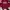 Adidas Vintage Windbreaker Pria red photo 1