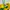 Halter top brazil official Bershka x fifa world cup photo 4