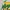 Halter top brazil official Bershka x fifa world cup photo 2