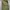 Fieldcore Aero Light Stretch Cargo (NET) photo 3