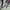 TNF Gore-Tex Series Army Original photo 7