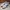 Adidas Casual Sneakers Pria cream photo 3