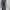 Y2K Evisu Straight Cut Jeans
