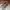 VANS Casual Sneakers Pria brown photo 3