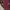 Jaket Blouse Kerah Sailor Lengan Balon Wanita Tenun Merah photo 9