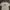 New Era Graphic T-Shirt