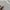 Y2k Miss Sixty White Jeans Distressed 00s photo 8