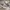 VANS Casual Sneakers Pria multicolor photo 1