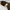 Vintage Sunglass Pria gold brown photo 7