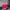Y2k Grunge Emo Aeropostale Tie Dye Pink Zip Hoodie Embordir  photo 2
