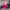 Y2k Grunge Emo Aeropostale Tie Dye Pink Zip Hoodie Embordir  photo 3