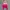 Y2k Grunge Emo Aeropostale Tie Dye Pink Zip Hoodie Embordir 