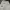 Jnco photo 2
