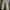 Herv1 Cargo long pants cream multi photo 3