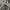 gabriell3 cargo long pants camo Y2k  photo 4