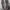 Converse chuck taylor all star photo 4