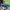 Crocs Zootopia  photo 2