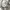 D.M.G. Japan Made Chino buckle pants photo 6