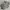 Sepatu Olahraga Basket Nike Air Jordan 11 Retro Low Grey photo 3