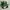Sepatu Sneakers Kasual Kappa High-Top Canvas Coral Green photo 5