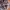 Nike Tech Fleece Camo photo 8