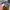 guess something comes up photo 3