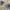 Vintage Y2K Fleece Pria cream photo 2