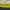 Vintage Track jacket Pria yellow photo 5