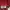 BRUNBRUN NELIA BAG Sling Bag Wanita Maroon photo 6