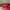 BRUNBRUN NELIA BAG Sling Bag Wanita Maroon photo 4