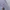 Celana Sweatpants Baggy Archive Bold photo 6