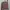 Vision Street Wear Streetwear Skater Sweater Pria tan photo 1