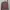 Vision Street Wear Streetwear Skater Sweater Pria Tan