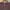 Vision Street Wear Streetwear Skater Sweater Pria tan photo 2