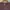 Vision Street Wear Streetwear Skater Sweater Pria Tan