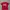 Stussy Vintage Streetwear T-shirt Pria Red