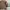 Stone Island Casual Sweater Pria Tan