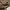 Stone Island Casual Sweater Pria Tan