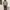Vintage Burberry photo 2