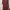 Polo Ralph Lauren Minimalist Casual dress Wanita red black photo 1