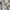 Burberry vintage hooded parka jacket photo 3