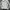 Windbreaker jacket adidas balok photo 5