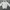 Windbreaker jacket adidas balok photo 4