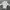 Windbreaker jacket adidas balok photo 3